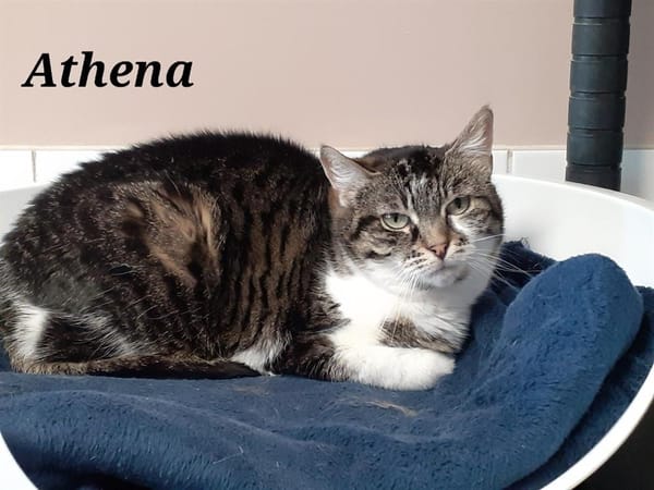 Athéna