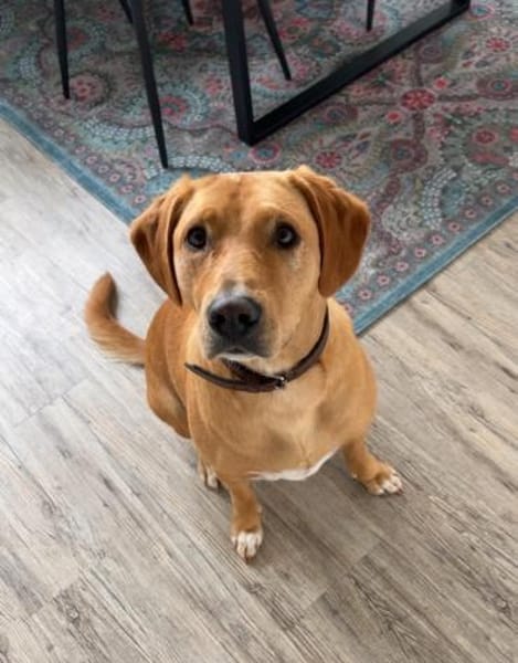 Milo