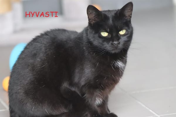 Hyvästi