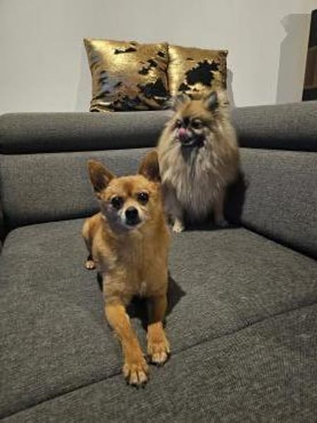 Duque & Flöhchen  Männerduo