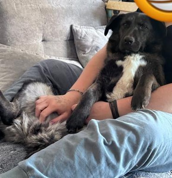 SUNNY: Kuschelmaus mit Köpfchen