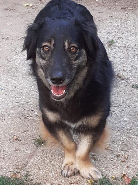 LILOU