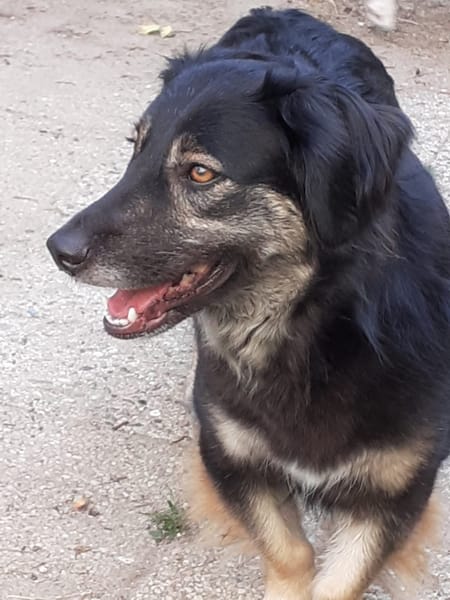 LILOU