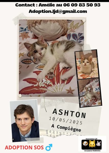 Ashton