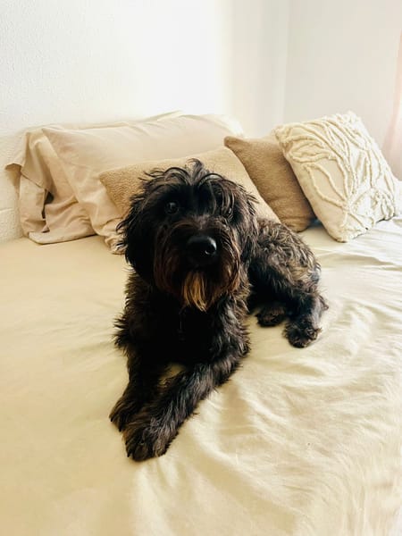 PERLA (Maria)