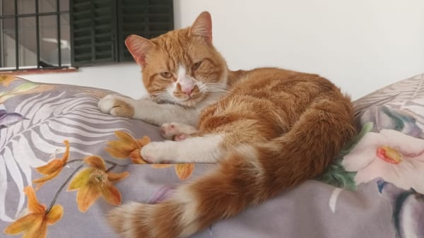 Coco