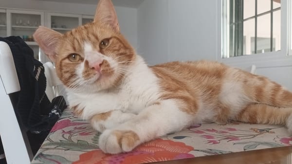 Coco