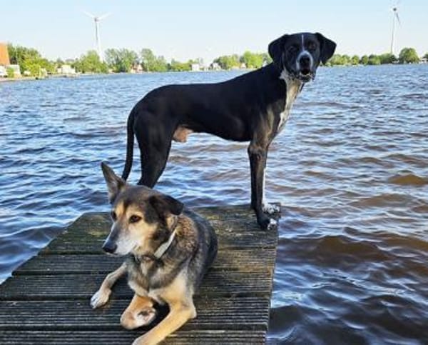 Hagen sucht sportliches Zuhause