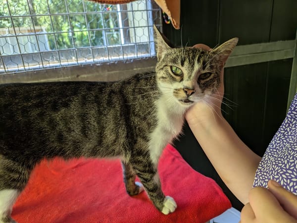 BELLA (réservé)
