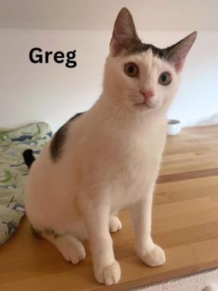 Greg + Manni hängen sehr aneinander