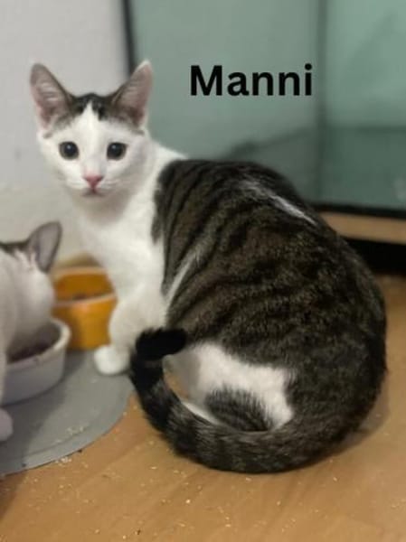 Greg + Manni hängen sehr aneinander