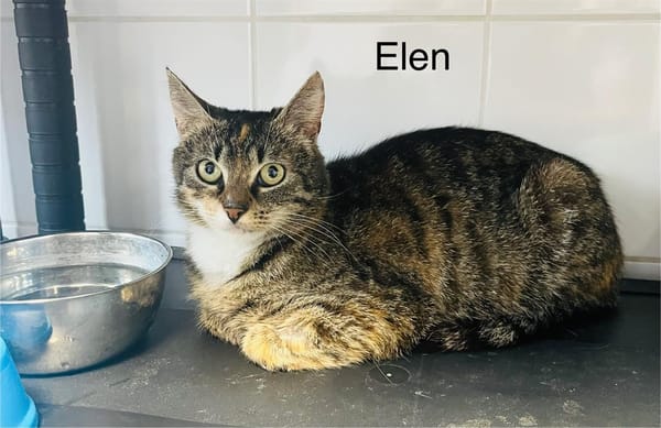 Elen