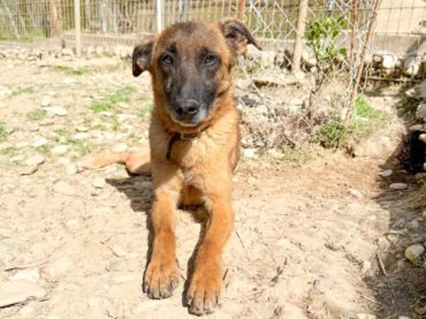 Hübsche RONJA wartet auf ihr Glück