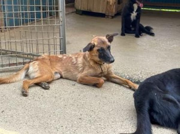 Hübsche RONJA wartet auf ihr Glück