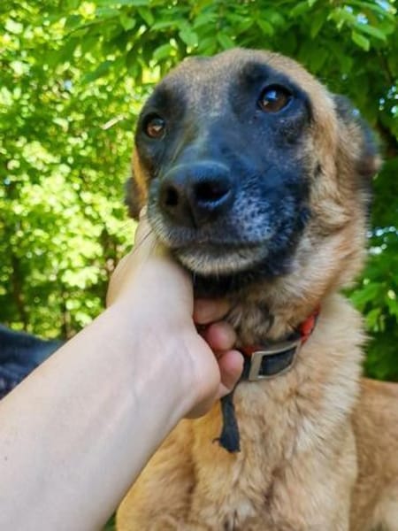 Hübsche RONJA wartet auf ihr Glück