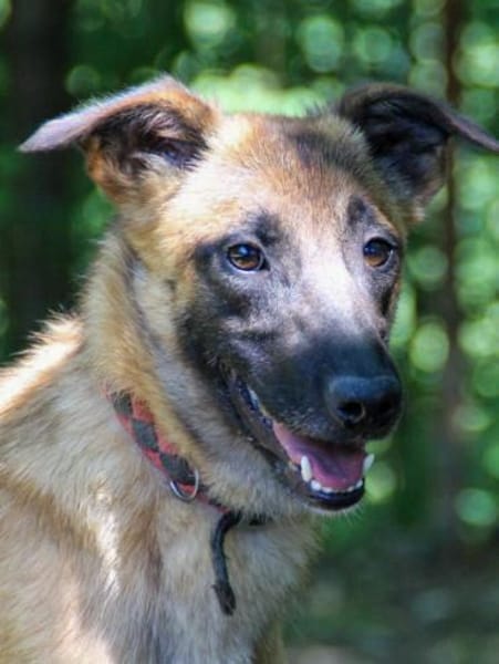 Hübsche RONJA wartet auf ihr Glück