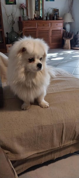 NOUKI