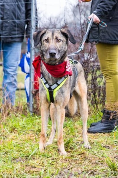 Anouk sucht eine erfahrene Familie