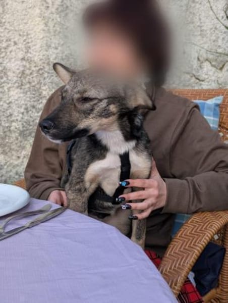 Süße Tammi sucht liebevolles Zuhause