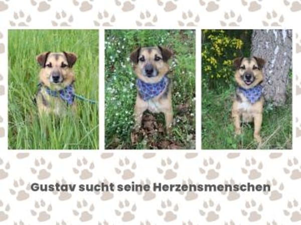 Gustav sucht seine Herzensmenschen
