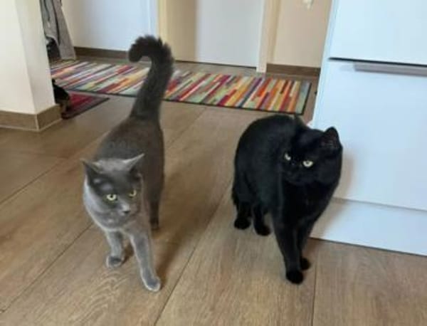 Mimi & Dean ein ruhiges Dreamteam