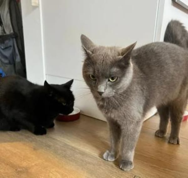 Mimi & Dean ein ruhiges Dreamteam