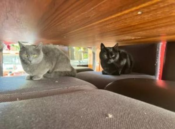 Mimi & Dean ein ruhiges Dreamteam
