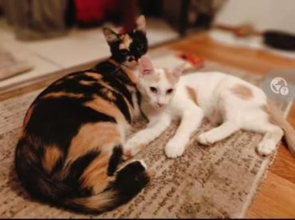 Pauline & Maxi Mama-Sohn Duo