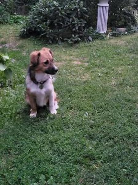 Bezaubernde Maya, 10 Mon., 33 cm