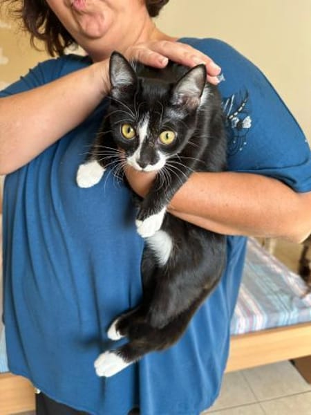 Buffy und Mitsi aus dem Tierschutz