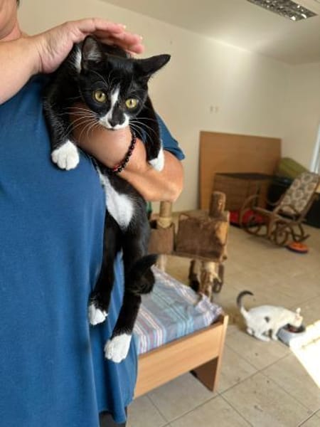 Buffy und Mitsi aus dem Tierschutz