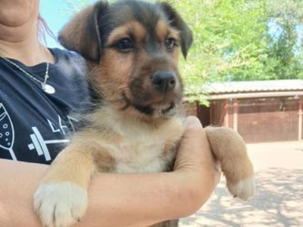 Jamy sucht Familienanschluß