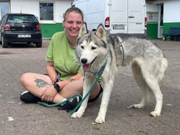 Reyla, Husky Fans gesucht