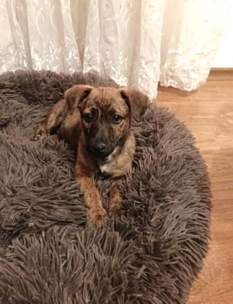 Lenny ein liebes Mädchen