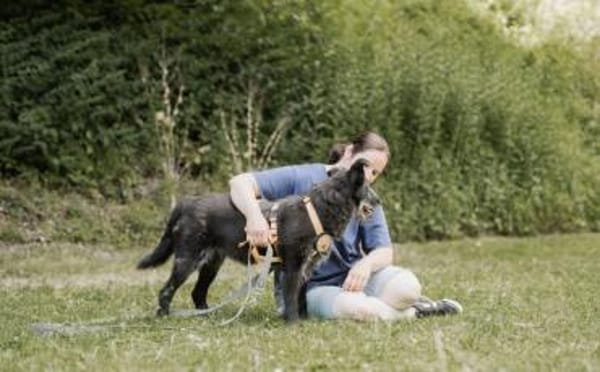Hier kommt Hazel