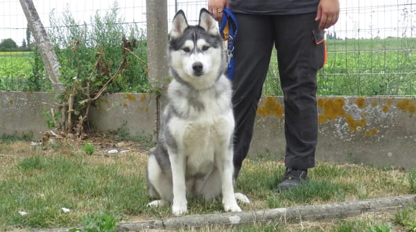 REIKO