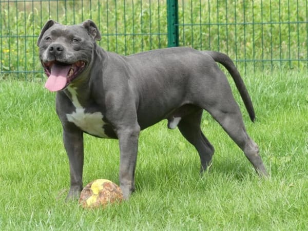 ROSCO