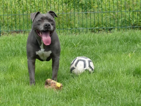 ROSCO