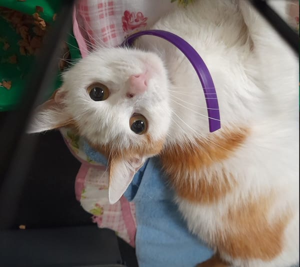 Mala