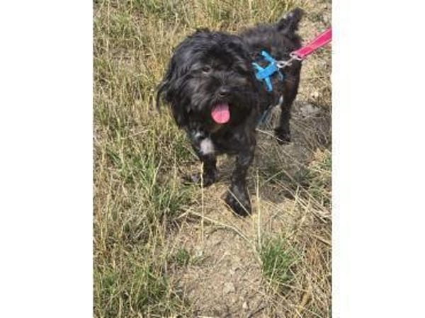 Whoopi - wartet in 97440 Werneck