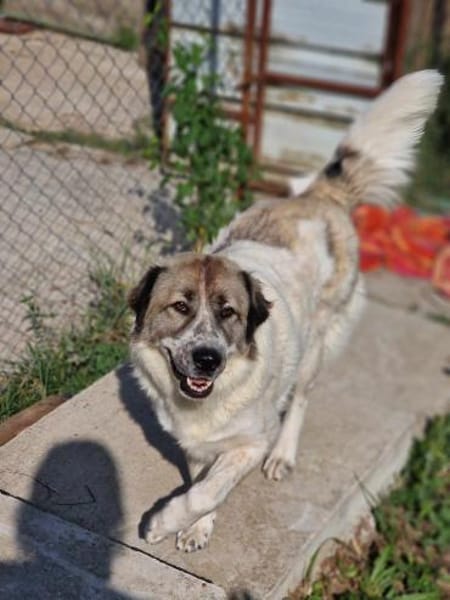 Luna sucht Dich