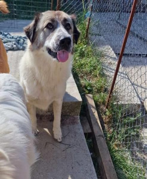 Luna sucht Dich