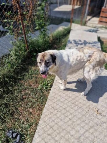 Luna sucht Dich