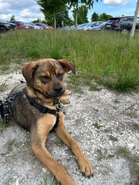 In 89604 auf Pflegestelle: KEN