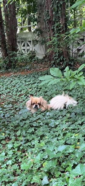 ❤Aufgepasst hier kommt Lili ❤