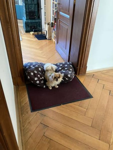 ❤Aufgepasst hier kommt Lili ❤