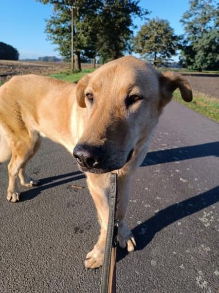 Gino  sucht besondere Menschen