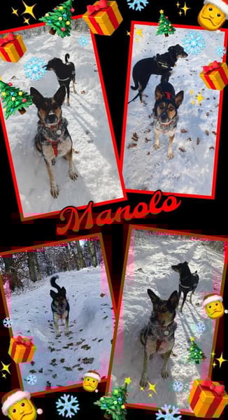 Manolo- auf PS in München!