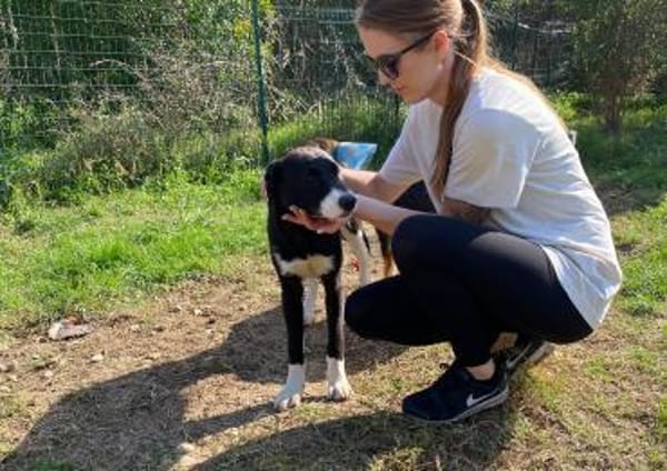 Menschenfreund Courage sucht sein Glück