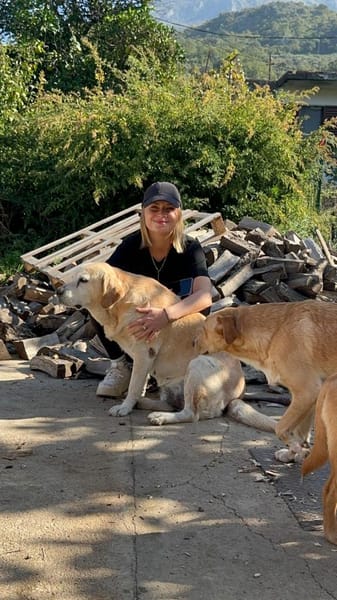 Liebe Labrador-Mix-Dame Nelli